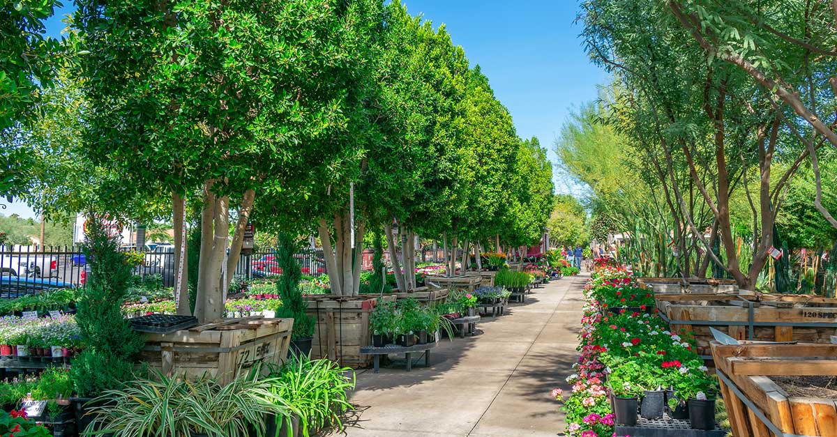 Moon Valley Nurseries logo