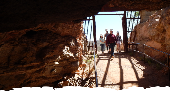 Good Enough Mine Tour logo