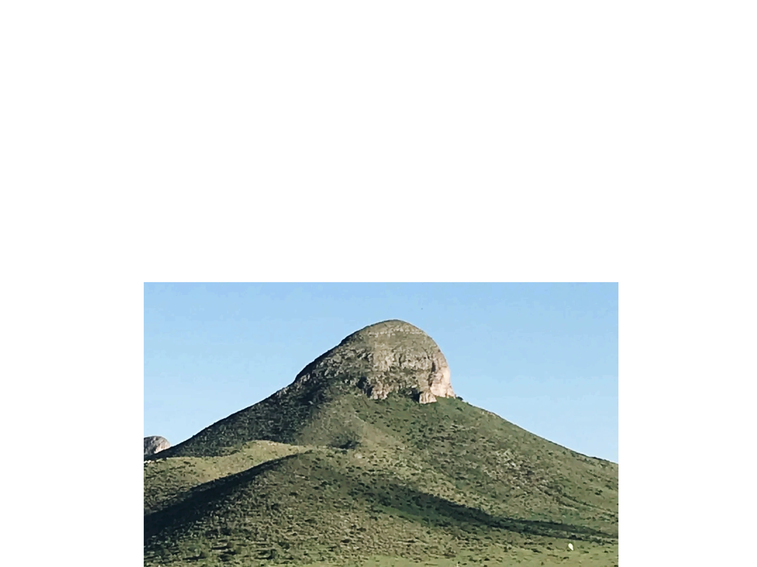 Padilla Horse Boarding logo